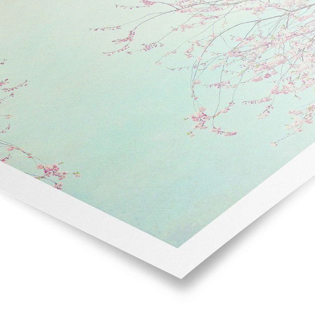 Quadros em turquesa Cherry Blossom Yearning