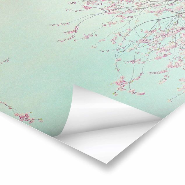 posters decorativos Cherry Blossom Yearning