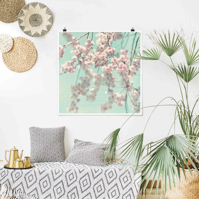 Posters flores Dancing Cherry Blossoms On Canvas