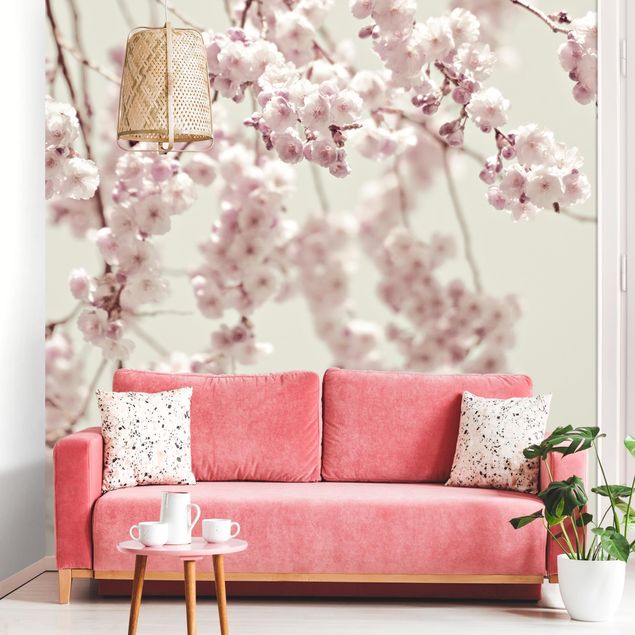 Papel de parede com flores Dancing Cherry Blossoms