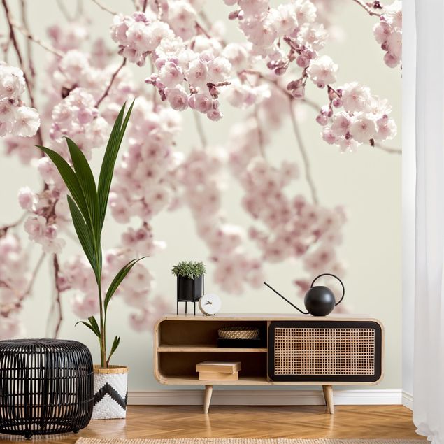 Papel de parede branco Dancing Cherry Blossoms
