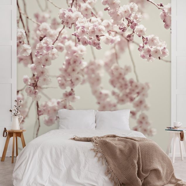 Mural de parede Dancing Cherry Blossoms