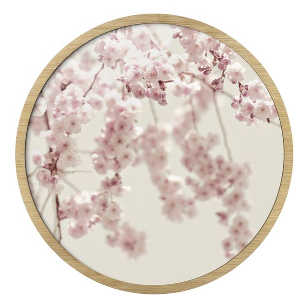 Quadros decorativos Dancing Cherry Blossoms