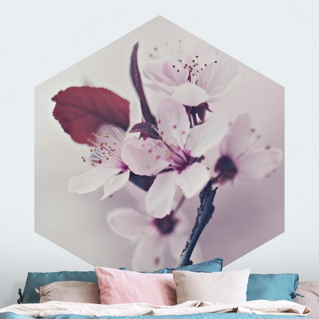 papel de parede moderno Cherry Blossom Branch Antique Pink