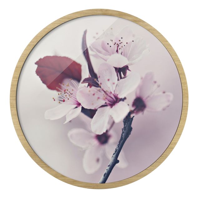 Quadros decorativos Cherry Blossom Branch Antique Pink