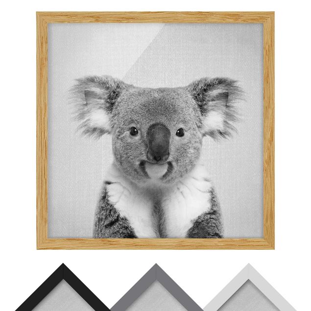 quadros para parede Koala Klaus Black And White