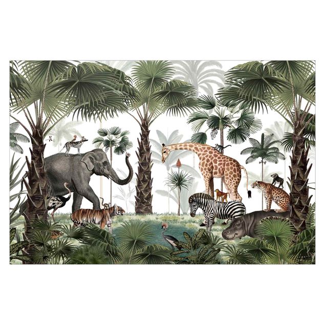 papel de parede moderno Kingdom of the jungle animals