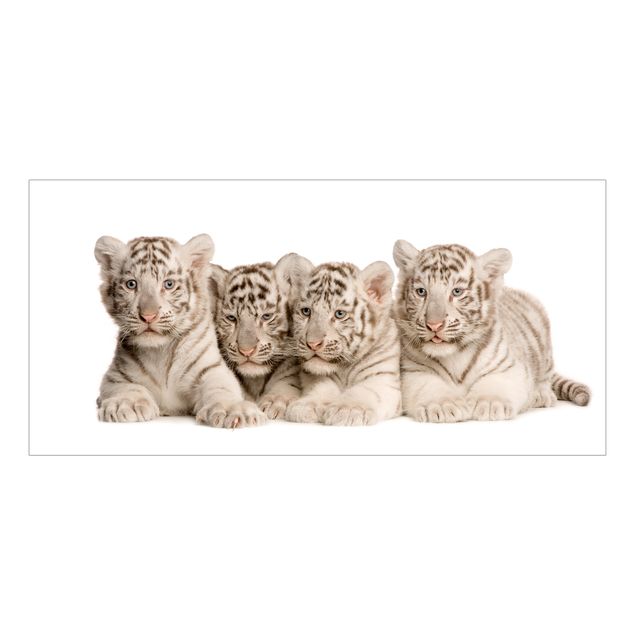 Autocolantes para vidros animais Bengal Tiger Babies