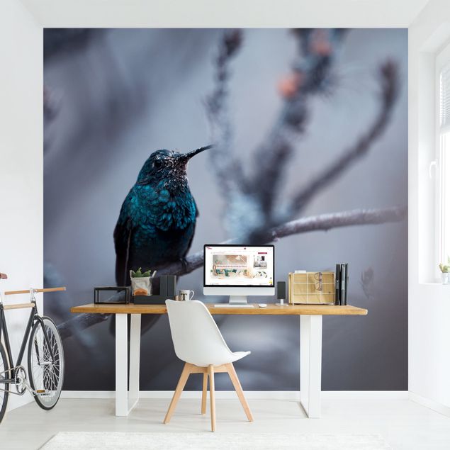 papel de parede moderno para sala Hummingbird In Winter