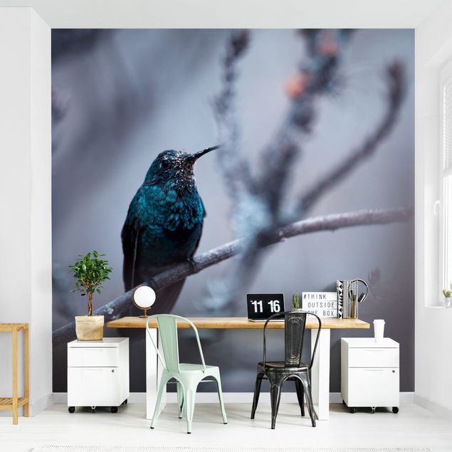 papéis de parede de animais Hummingbird In Winter