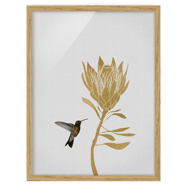 quadros flores Hummingbird And Tropical Golden Blossom