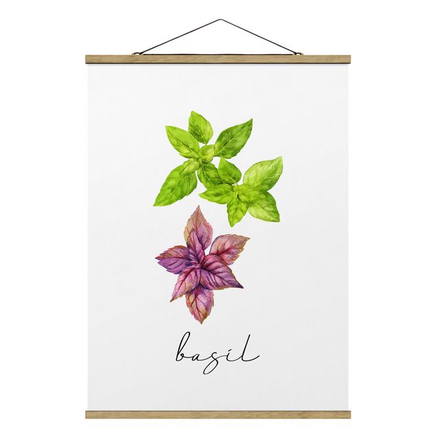 quadros flores Herbs Illustration Basil