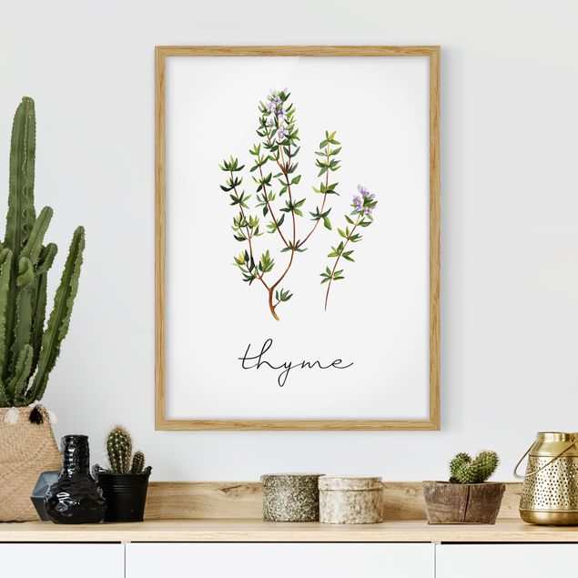 Quadros com moldura flores Herbs Illustration Thyme