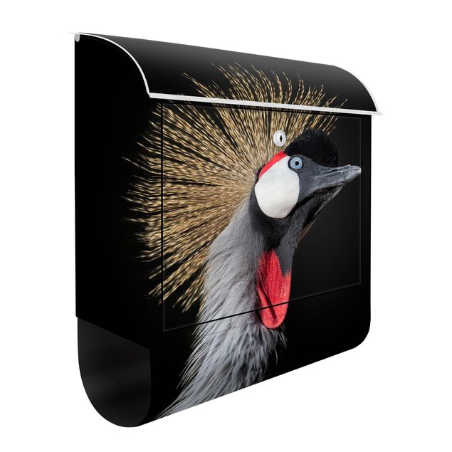 Caixas de correio animais Crowned Crane In Front Of Black