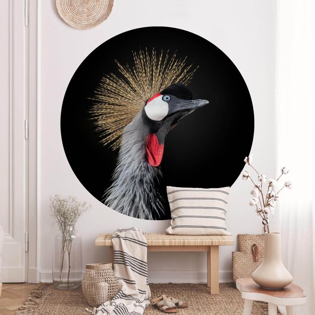 decoraçao cozinha Crowned Crane In Front Of Black