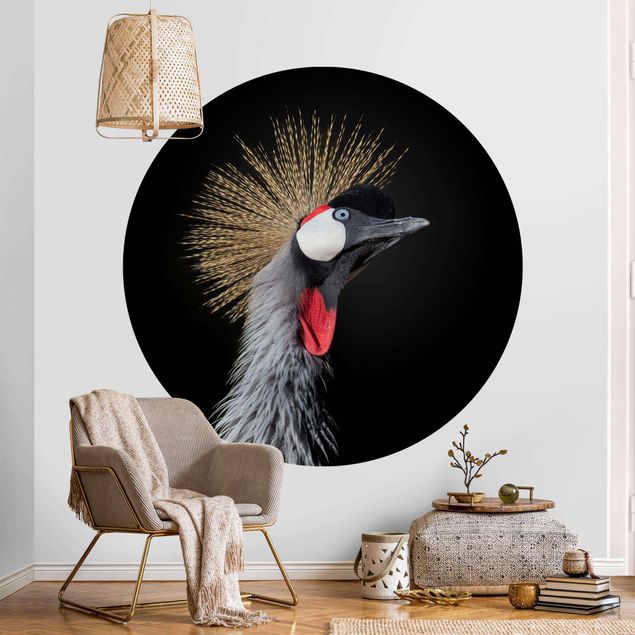 Papel de parede pássaros Crowned Crane In Front Of Black