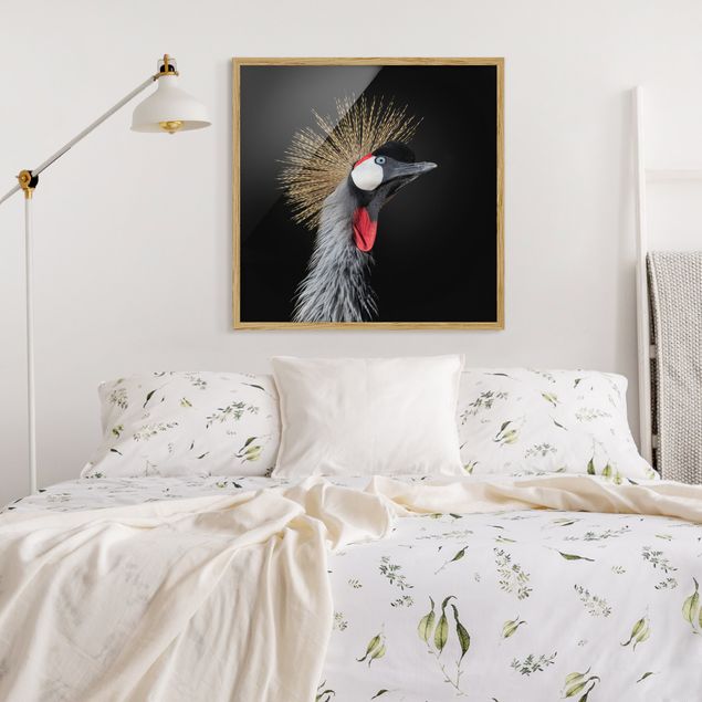 Quadros famosos Crowned Crane In Front Of Black