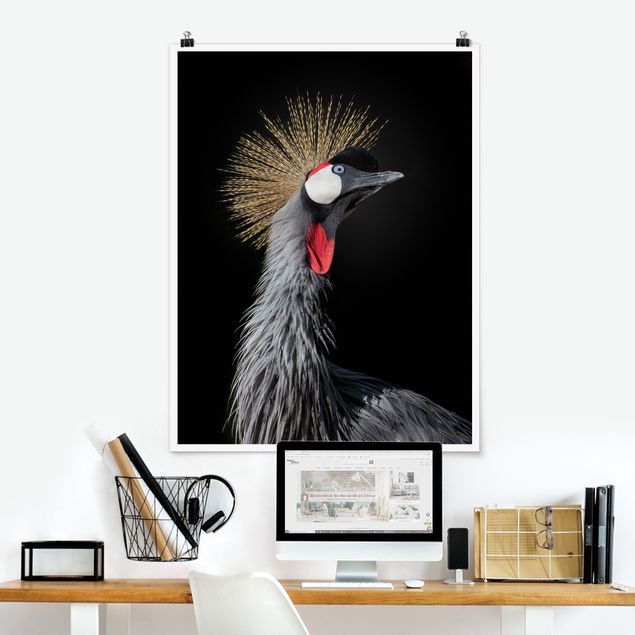 decoraçoes cozinha Crowned Crane In Front Of Black