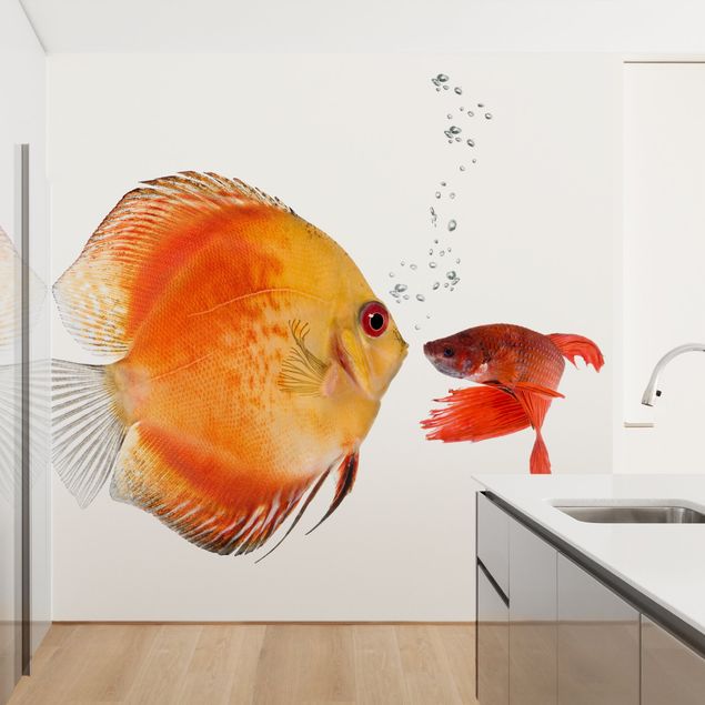 decoraçoes cozinha Kissing Fish