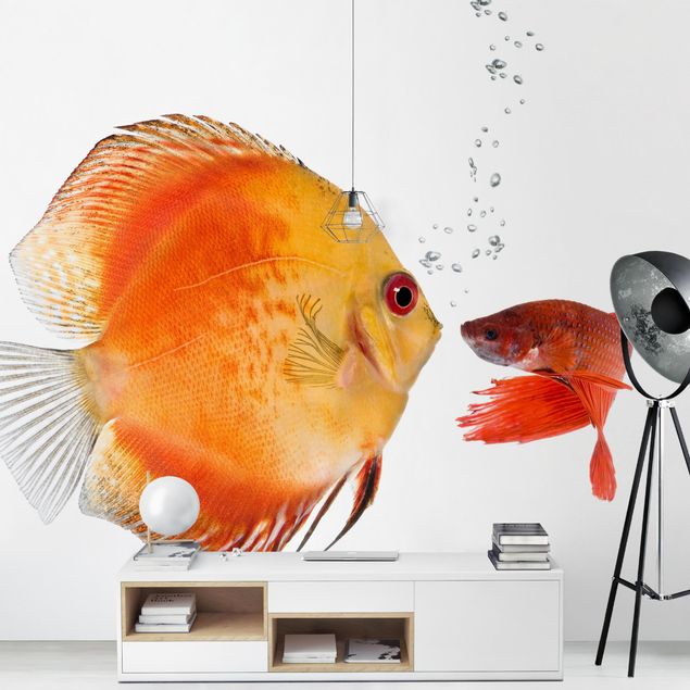 papel de parede moderno Kissing Fish