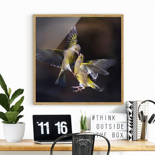 decoraçao para parede de cozinha Kissing Hummingbirds