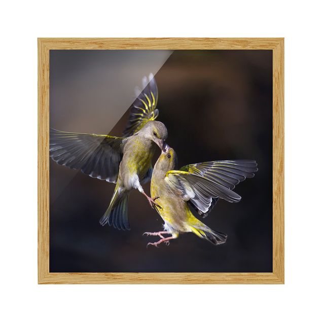 quadros modernos para quarto de casal Kissing Hummingbirds