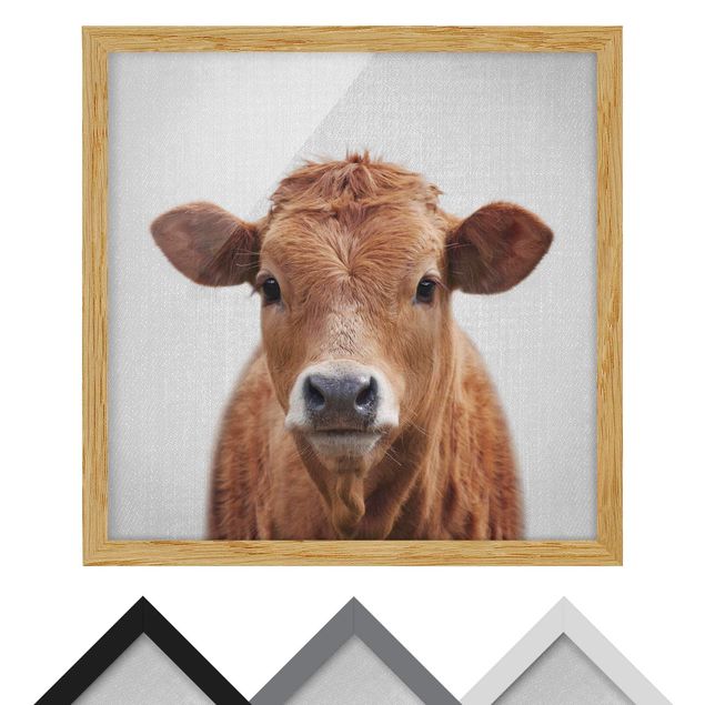 decoração quadros Cow Kathrin