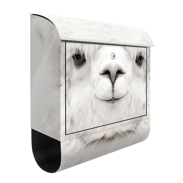 Caixas de correio animais Smiling Alpaca