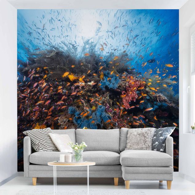papel de parede com peixe Lagoon With Fish