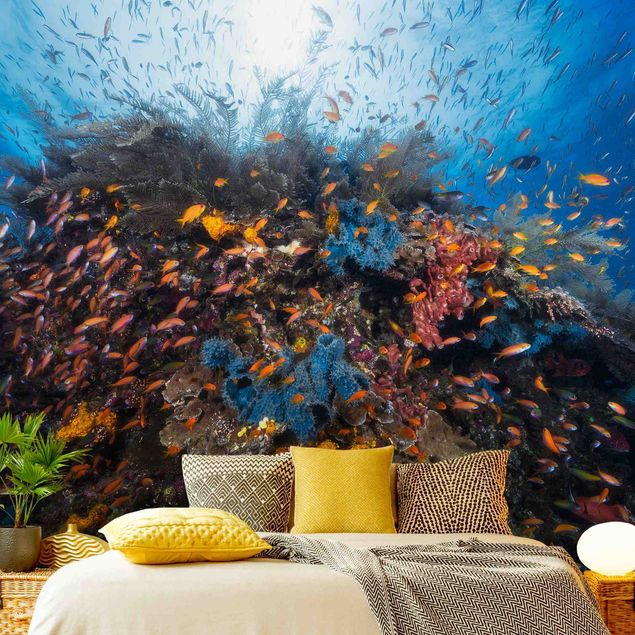 Papel de parede fundo do mar Lagoon With Fish