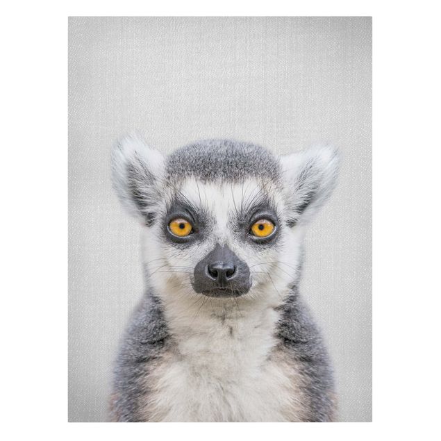 Telas decorativas animais Lemur Ludwig