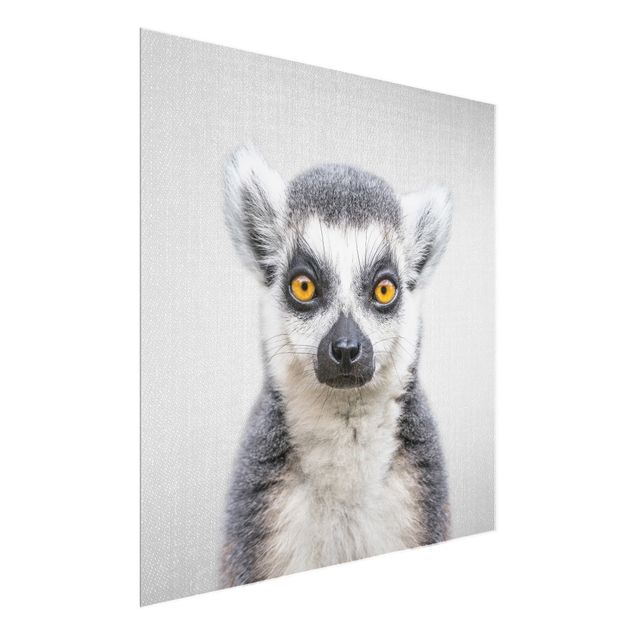 Quadros em vidro animais Lemur Ludwig