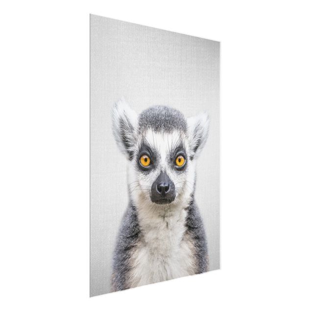 Quadros em vidro animais Lemur Ludwig