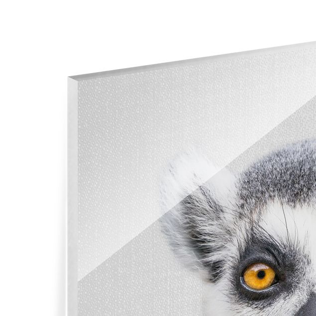 quadros para parede Lemur Ludwig