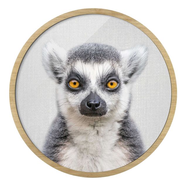 Quadros com moldura animais Lemur Ludwig