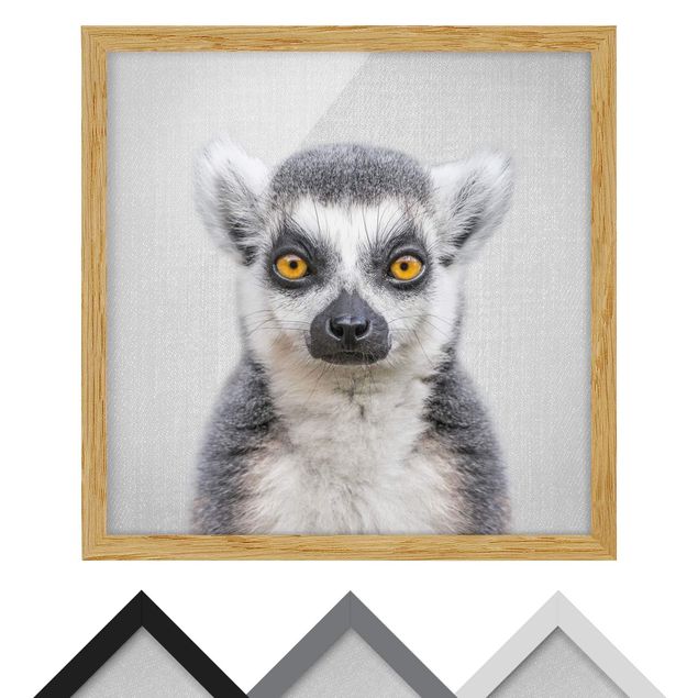 quadros preto e branco para decoração Lemur Ludwig