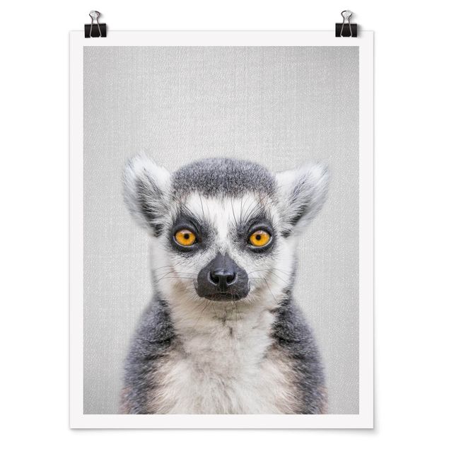 Posters animais Lemur Ludwig