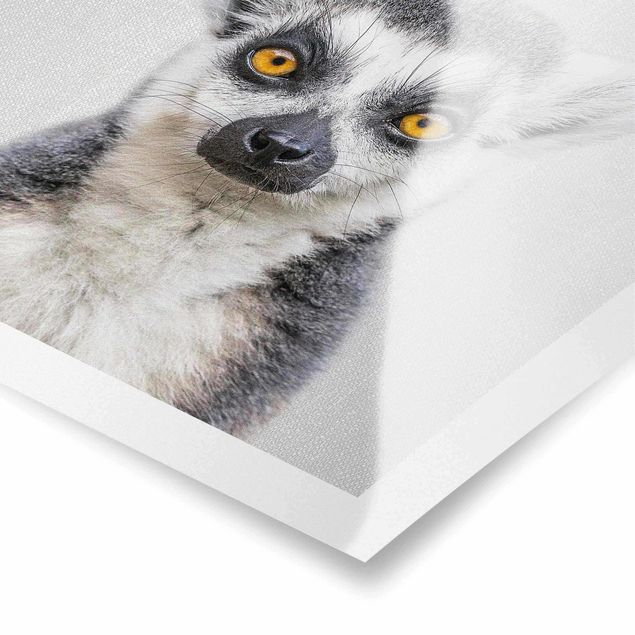 quadros em preto e branco Lemur Ludwig
