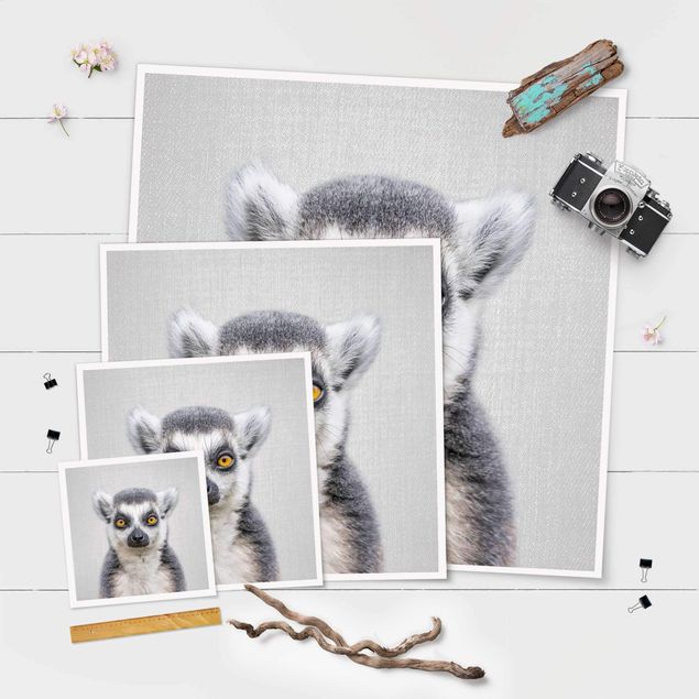posters decorativos Lemur Ludwig