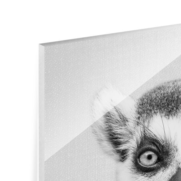 decoração quadros Lemur Ludwig Black And White
