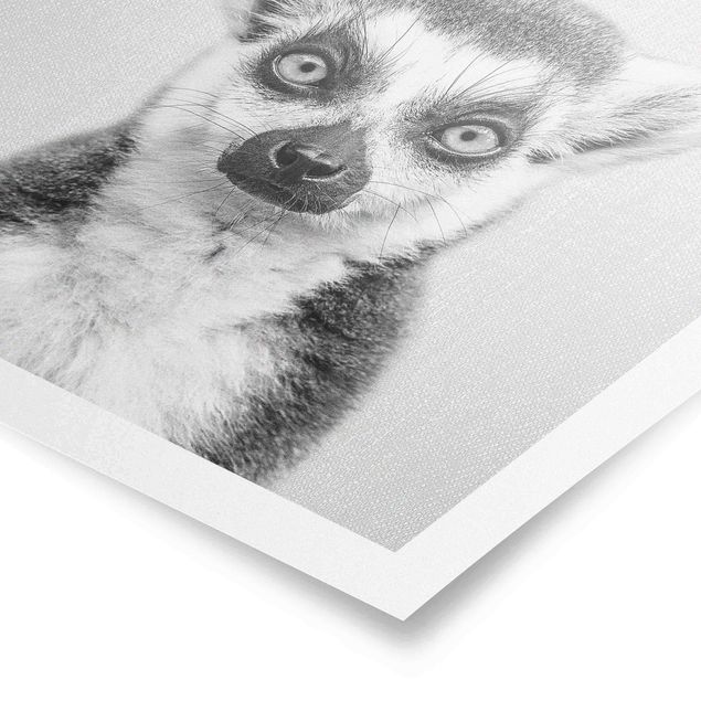 Quadros modernos Lemur Ludwig Black And White