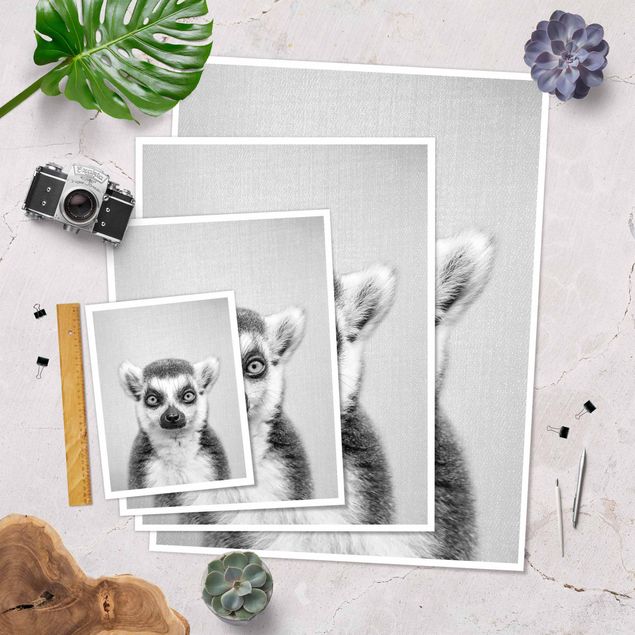 Posters Lemur Ludwig Black And White