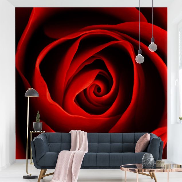 decoraçao para parede de cozinha Lovely Rose