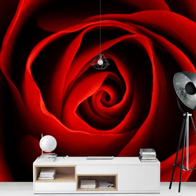 papel de parede floral Lovely Rose