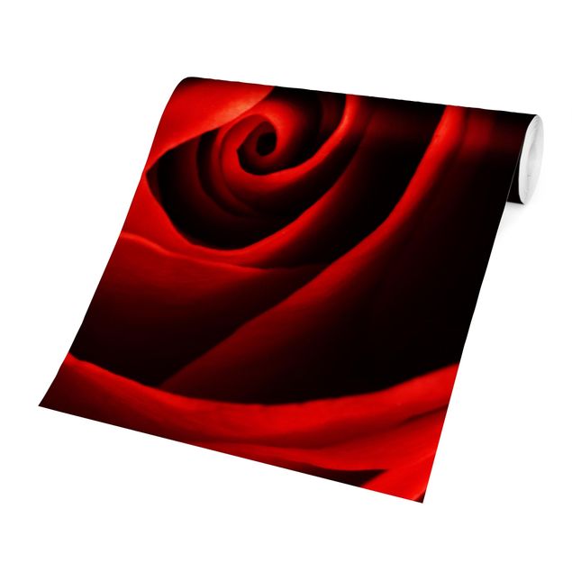 Papel de parede vermelho Lovely Rose
