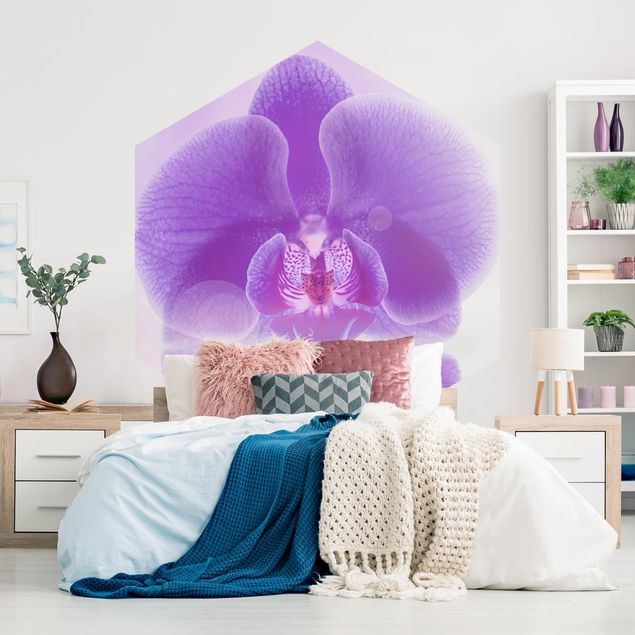 papel de parede para quarto de casal moderno Purple Orchid On Water
