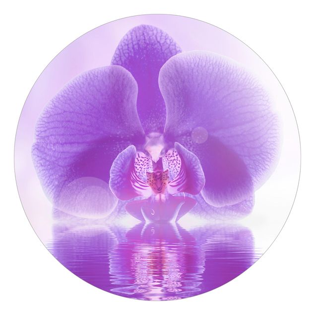 papel parede de flor Purple Orchid On Water