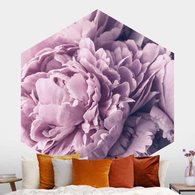 Papel de parede rosas Purple Peony Blossoms