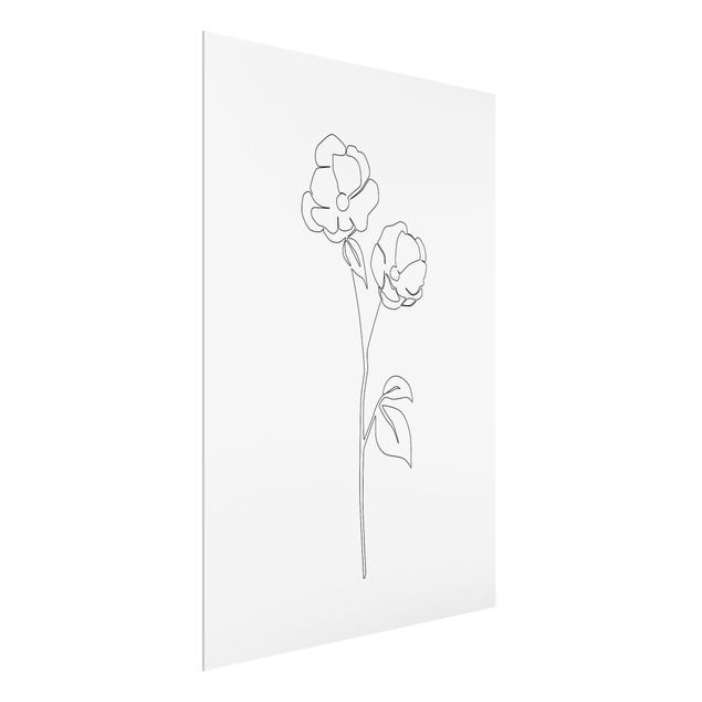 Quadros retratos Line Art Flowers - Poppy Flower