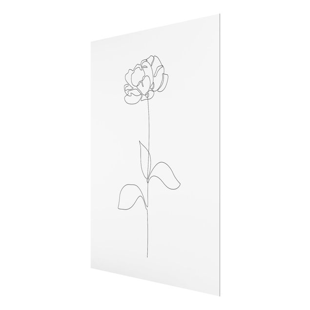 decoração quadros Line Art Flowers - Peony